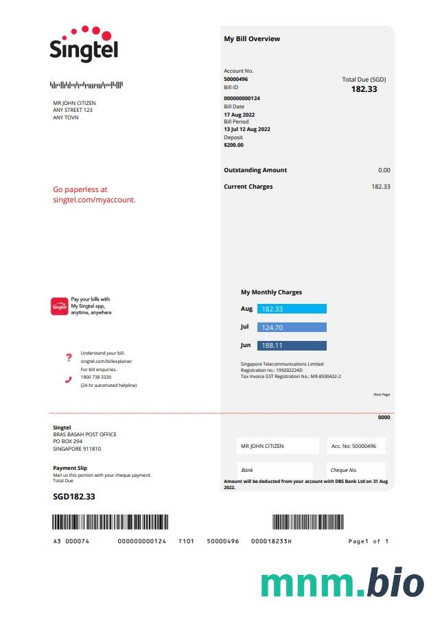 Szablon rachunku za media USA Singtel w formacie Word i PDF